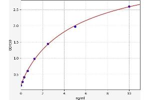 BANP ELISA Kit