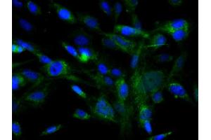 Image provided by One World Lab validation program.