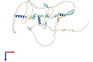 GPATCH4 Protein (AA 1-446) (His tag)