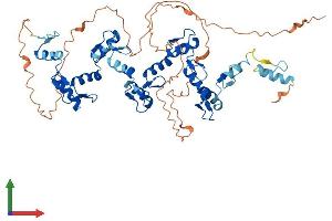 AlphaFold protein structure predicition of Human Recombinant ZNF329 Protein, UniprotID Q86UD4 (ZNF329 Protein (AA 1-541) (His tag))