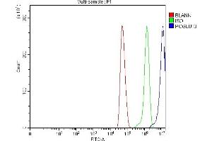 Flow Cytometry analysis of U251 cells using anti-POGLUT3 antibody (ABIN7825696). (POGLUT3 (AA 48-499) antibody)