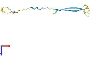 AlphaFold protein structure predicition of Human Recombinant SPANXD Protein, UniprotID Q9BXN6 (SPANXD Protein (AA 1-97) (His tag))