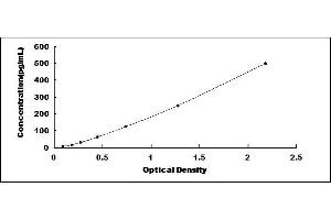 Typical standard curve (Anti-Lysosomal Associated Membrane Protein 2 Antibody (Anti-LAMP2) ELISA Kit)