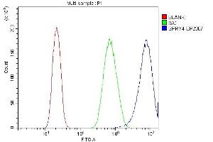 anti-Sprouty RTK Signaling Antagonist 4 (SPRY4) (AA 1-297) antibody