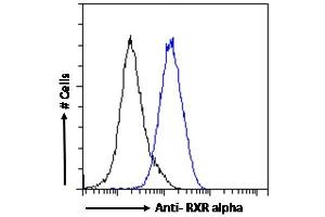 ABIN185295 Flow cytometric analysis of paraformaldehyde fixed MCF7 cells (blue line), permeabilized with 0. (Retinoid X Receptor alpha antibody  (AA 14-28))