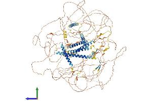 AlphaFold protein structure predicition of Mouse Recombinant Akna Protein, UniprotID Q80VW7