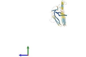 Protein Structure (PS) image for Ribosome Binding Protein 1 (RRBP1) (AA 1-1605) protein (His tag) (ABIN7564924)