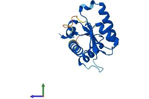 AlphaFold protein structure predicition of Human Recombinant GADD45G Protein, UniprotID O95257