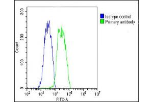 Overlay histogram showing HepG2 cells stained with (ABIN650694 and ABIN2839117)(green line). (VEGFC antibody)