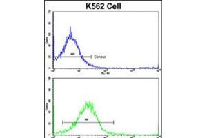 Flow cytometric analysis of K562 cells using UNC5C Antibody (bottom histogram) compared to a negative control cell (top histogram). (Unc5c antibody  (AA 188-217))