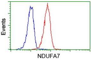 Image no. 1 for anti-NADH Dehydrogenase (Ubiquinone) 1 alpha Subcomplex, 7, 14.5kDa (NDUFA7) antibody (ABIN1499662)