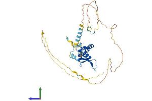 AlphaFold protein structure predicition of Mouse Recombinant Foxb1 Protein, UniprotID Q64732 (FOXB1 Protein (AA 1-325) (His tag))
