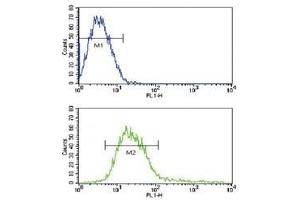 Flow cytometric analysis of CEM cells using ADAM17 antibody (green) compared to a negative control (blue). (ADAM17 antibody  (AA 195-224))
