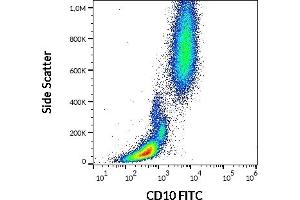 Flow cytometry surface staining pattern of human peripheral whole blood stained using anti-human CD10 (LT10) FITC (20 μL reagent / 100 μL of peripheral whole blood).