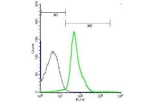 Mouse thymocytes probed with Rabbit Anti-ADAM17 Polyclonal Antibody, Unconjugated . (ADAM17 antibody  (AA 201-300))