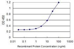 Detection limit for recombinant GST tagged DMC1 is 0. (DMC1 antibody  (AA 237-339))