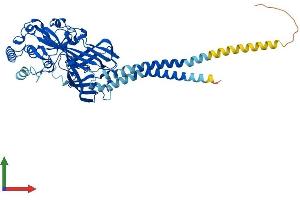Protein Structure (PS) image for Scavenger Receptor Class B, Member 1 (SCARB1) (AA 1-509) protein (His tag) (ABIN7563894)