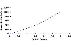 Typical standard curve