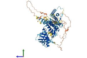 Protein Structure (PS) image for Rhophilin, rho GTPase Binding Protein 1 (RHPN1) (AA 1-643) protein (His tag) (ABIN7557663)