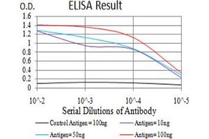 Black line: Control Antigen (100 ng), Purple line: Antigen(10 ng), Blue line: Antigen (50 ng), Red line: Antigen (100 ng), (Estrogen Receptor alpha antibody  (pTyr537))