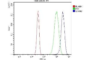 Flow Cytometry analysis of U20S cells using anti-SCG10/STMN2 antibody (ABIN7600734). (STMN2 antibody  (AA 23-170))