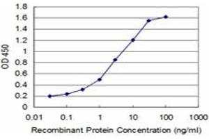 Detection limit for recombinant GST tagged GSC is approximately 0. (GSC antibody  (AA 151-257))