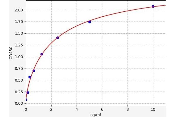 Calpastatin ELISA Kit