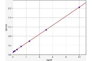 Typical standard curve (FKBP8 ELISA Kit)