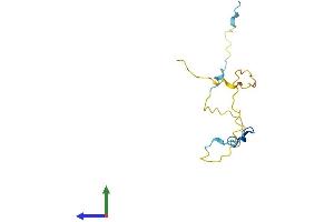 AlphaFold protein structure predicition of Human Recombinant PCLAF Protein, UniprotID Q15004 (KIAA0101 Protein (AA 1-111) (His tag))