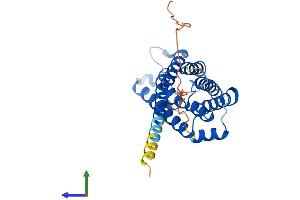Protein Structure (PS) image for Aquaporin 6, Kidney Specific (AQP6) (AA 1-293) protein (His tag) (ABIN7559133)