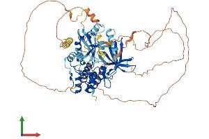 Protein Structure (PS) image for Mitogen-Activated Protein Kinase Kinase Kinase 3 (MAP3K3) (AA 1-626) protein (His tag) (ABIN7557662)