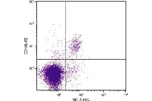 C57BL/6 mouse splenocytes were stained with Rat Anti-Mouse CD49b-PE. (ITGA2 antibody  (PE))