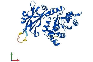 AlphaFold protein structure predicition of Human Recombinant EPM2A Protein, UniprotID O95278