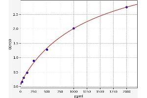 Pleiotrophin (PTN) ELISA Kit