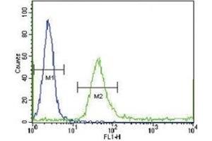 IGFBP4 antibody flow cytometric analysis of WiDr cells (green) compared to a negative control (blue). (IGFBP4 antibody  (AA 66-92))