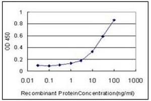 ELISA image for anti-Nuclear Receptor Subfamily 1, Group D, Member 1 (NR1D1) (AA 1-615) antibody (ABIN614695) (NR1D1 antibody  (AA 1-615))