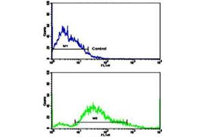Flow cytometric analysis of SK-BR-3 cells using PDGFRB polyclonal antibody (bottom histogram) compared to a negative control cell (top histogram). (PDGFRB antibody  (N-Term))