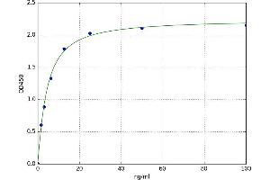 A typical standard curve