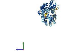 AlphaFold protein structure predicition of Mouse Recombinant Slc17a5 Protein, UniprotID Q8BN82 (Solute Carrier Family 17 (Acidic Sugar Transporter), Member 5 (SLC17A5) (AA 1-495) protein (His tag))