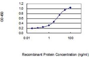 Detection limit for recombinant GST tagged CCDC69 is 0. (CCDC69 antibody  (AA 1-296))