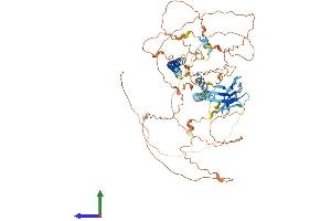 AlphaFold protein structure predicition of Mouse Recombinant Lmntd2 Protein, UniprotID Q0VET5 (C11orf35 Protein (AA 1-664) (His tag))