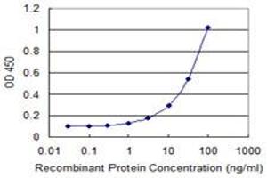 Detection limit for recombinant GST tagged LONRF1 is 1 ng/ml as a capture antibody. (LONRF1 antibody  (AA 1-110))