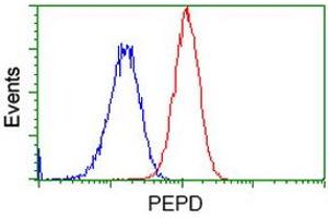 Flow cytometric Analysis of Hela cells, using anti-PEPD antibody (ABIN2453446), (Red), compared to a nonspecific negative control antibody (TA50011), (Blue). (PEPD antibody)