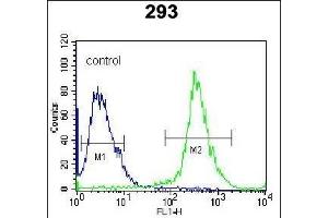 Rat MKP3 Antibody (ABIN1882185 and ABIN2842276) flow cytometric analysis of 293 cells (right histogram) compared to a negative control cell (left histogram). (DUSP6 antibody)