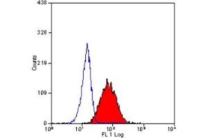 Staining of human peripheral blood granulocytes with MOUSE ANTI HUMAN CD312 (ABIN120169). (EMR2 antibody)