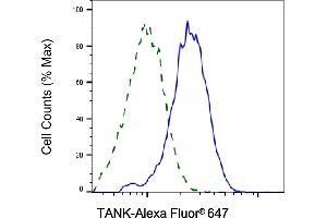 Validation of TANK knockdown using flow cytometry. (TANK antibody)