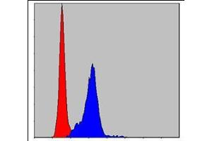 Flow cytometric analysis of Hela cells using CRK mouse mAb (blue) and negative control (red). (Crk antibody)