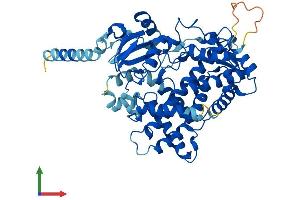 AlphaFold protein structure predicition of Human Recombinant CYP2D7 Protein, UniprotID A0A087X1C5 (Cytochrome P450, Family 2, Subfamily D, Polypeptide 7 Pseudogene 1 (CYP2D7P1) (AA 1-515) protein (His tag))