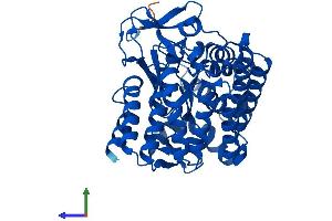 AlphaFold protein structure predicition of Mouse Recombinant Smyd2 Protein, UniprotID Q8R5A0 (SMYD2A Protein (AA 1-433) (His tag))