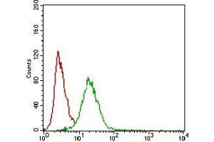 Flow cytometric analysis of Hela cells using CD22 mouse mAb (green) and negative control (red). (CD22 antibody  (AA 621-725))